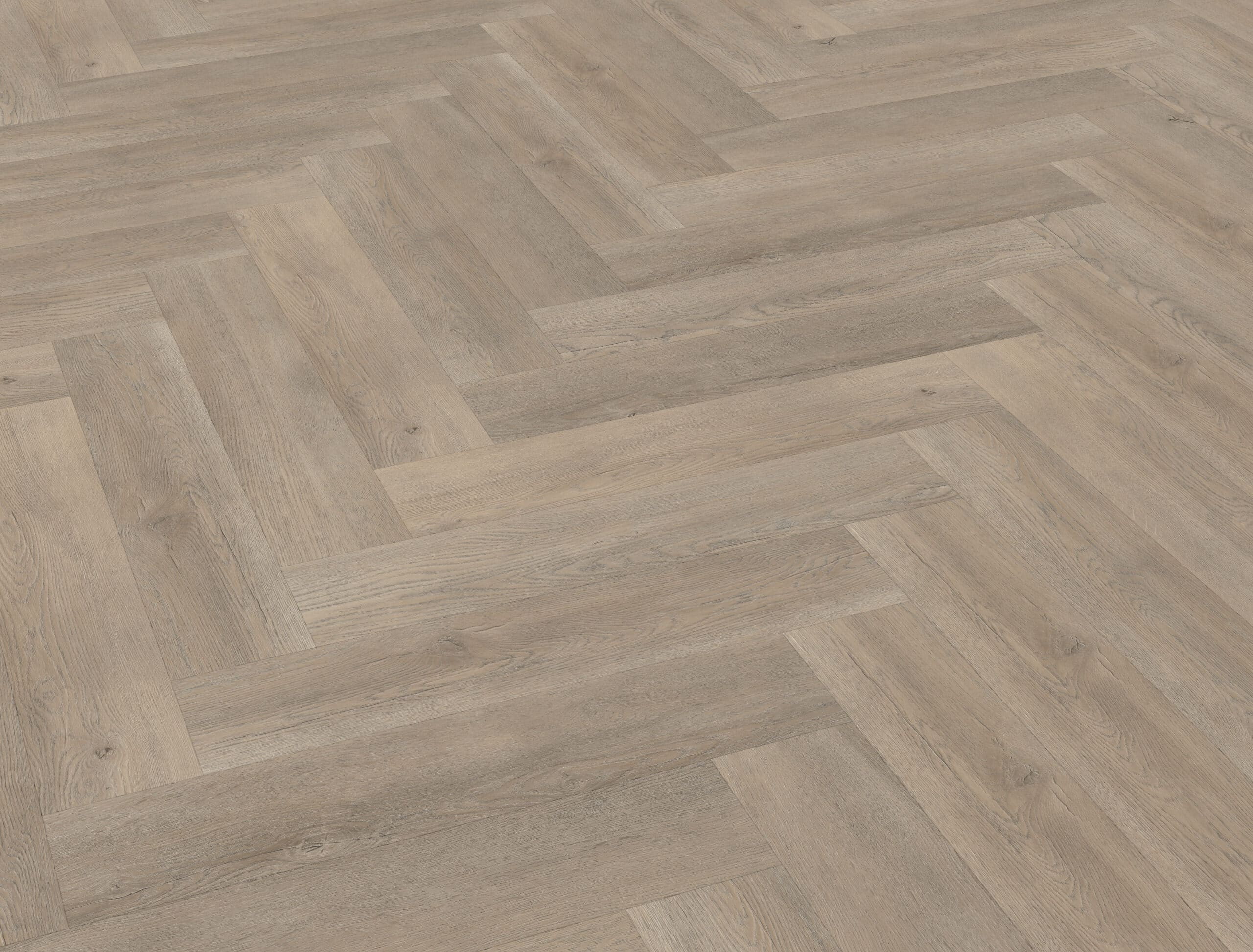 Belakos - Palazzo visgraat XL 70