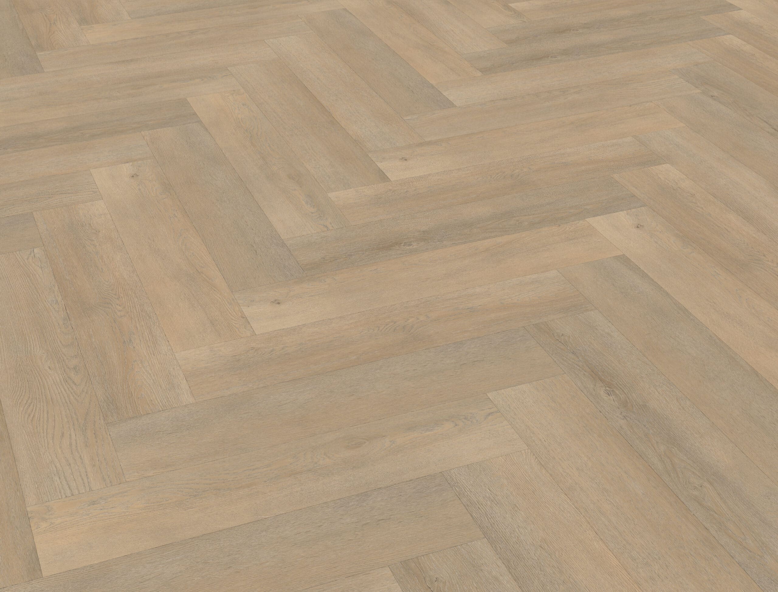 Belakos - Palazzo visgraat XL 71