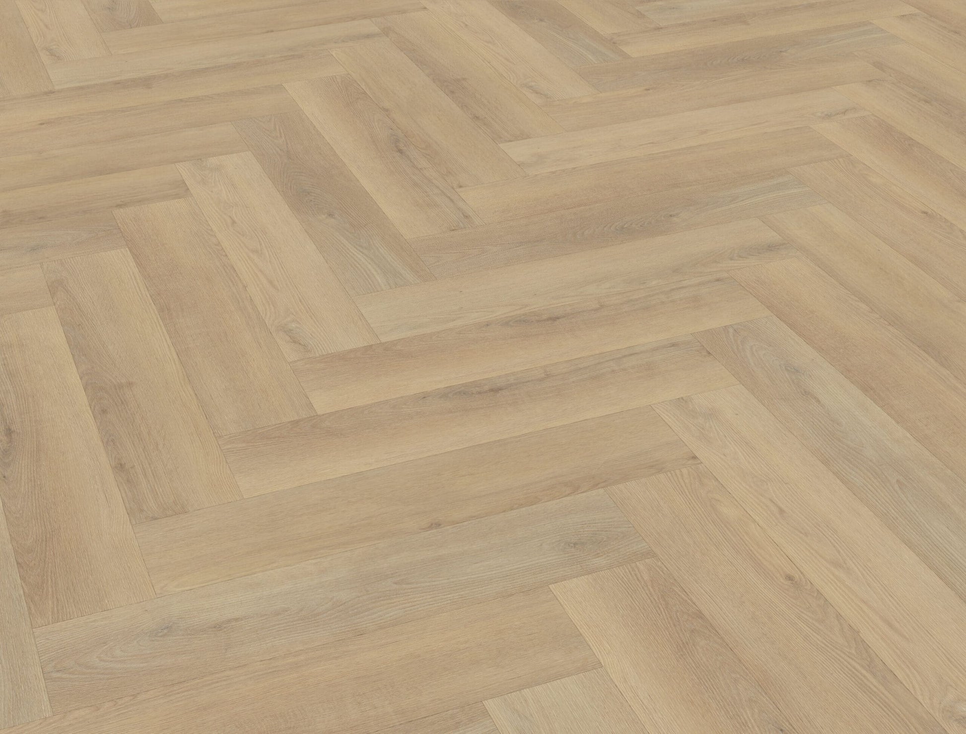 Belakos - Palazzo visgraat XL 72