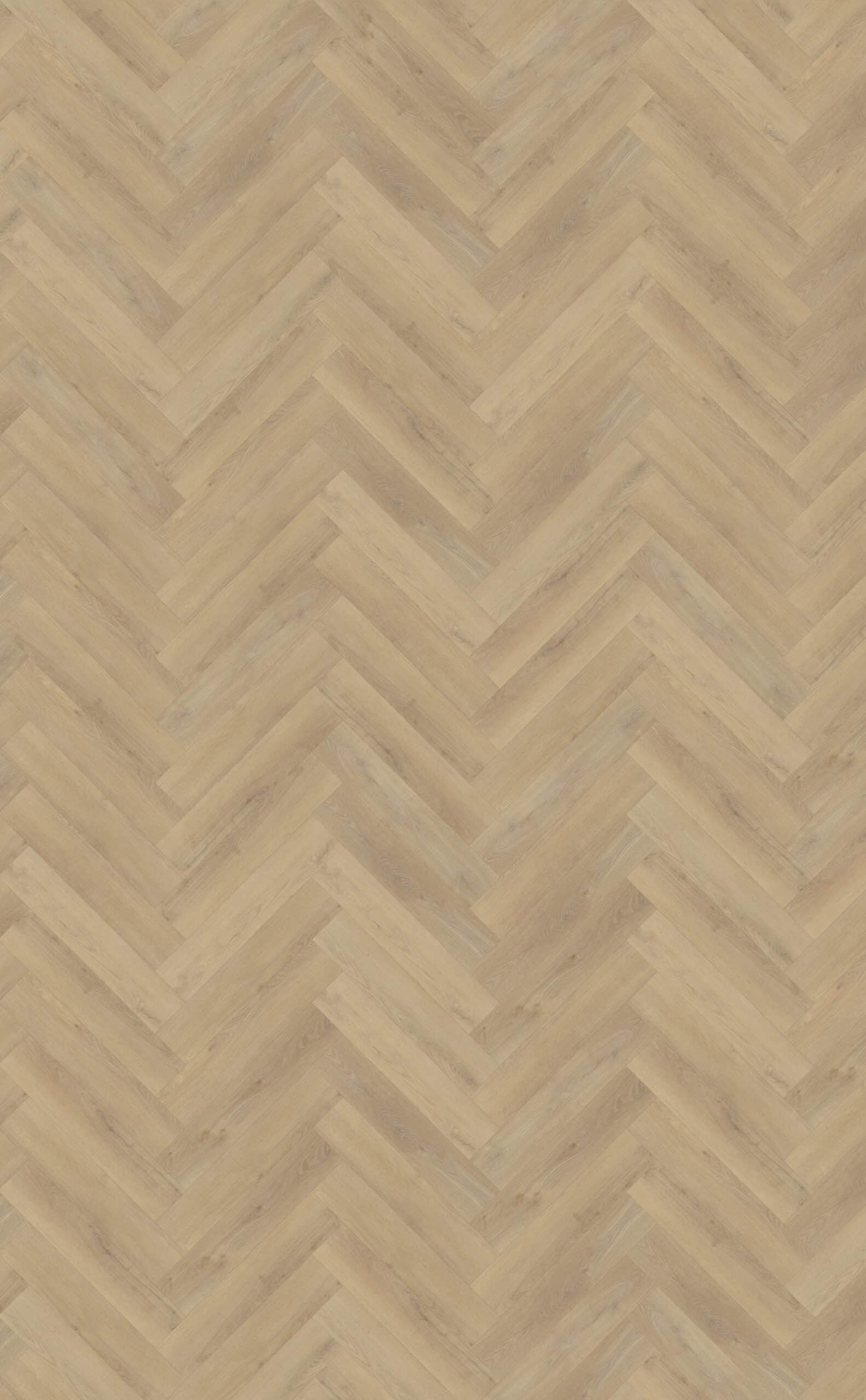 Belakos - Palazzo visgraat XL 72