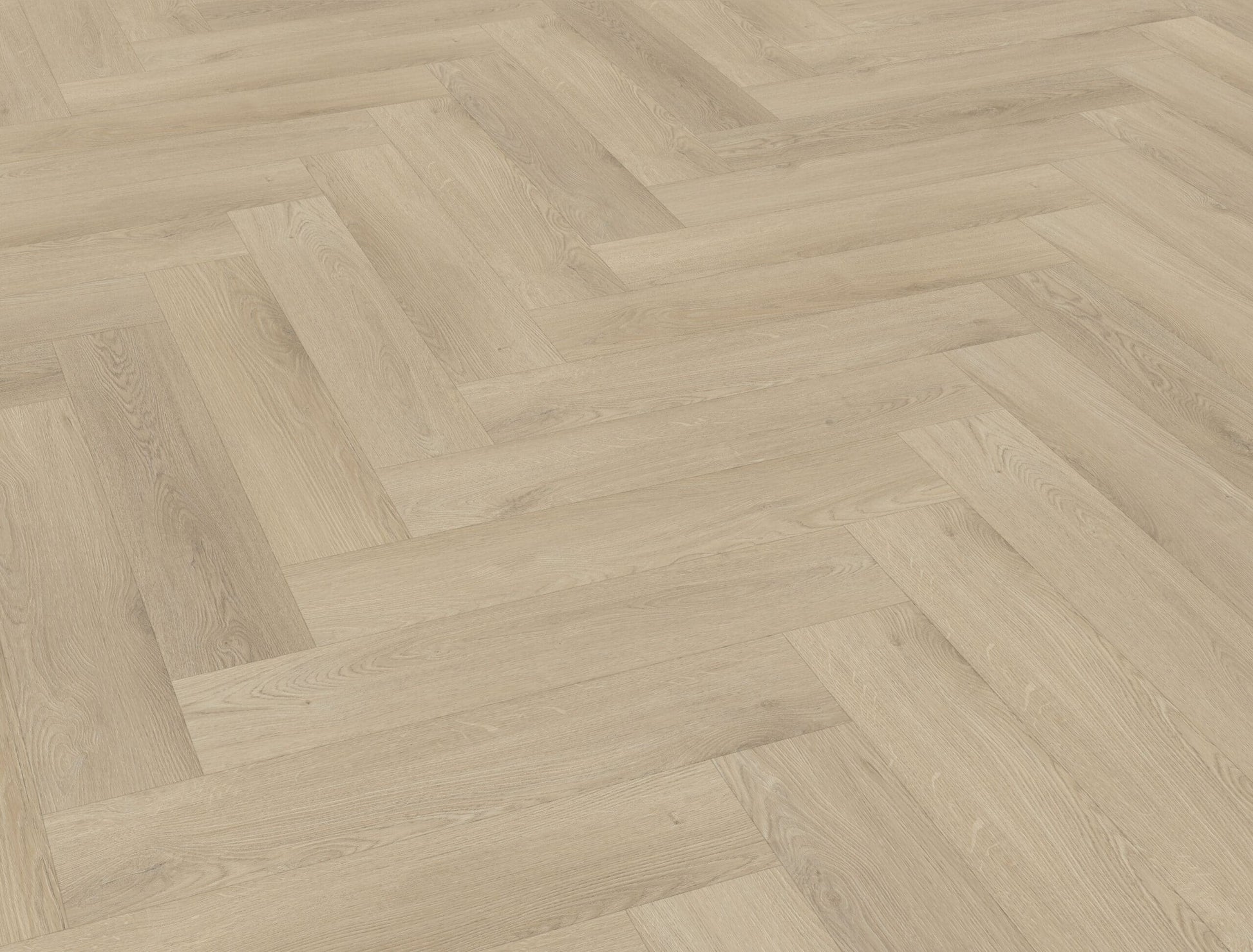 Belakos - Palazzo visgraat XL 73