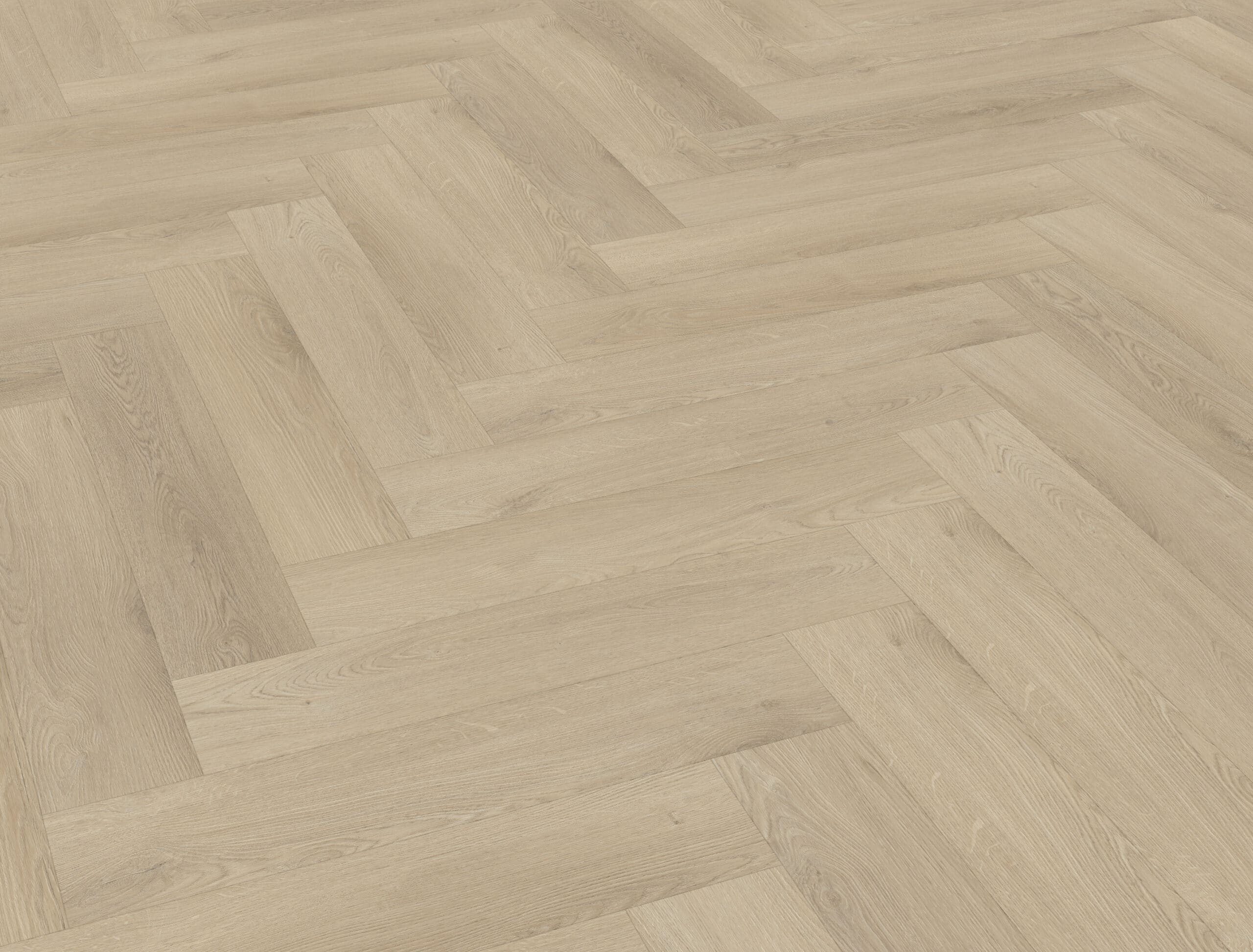 Belakos - Palazzo visgraat XL 73