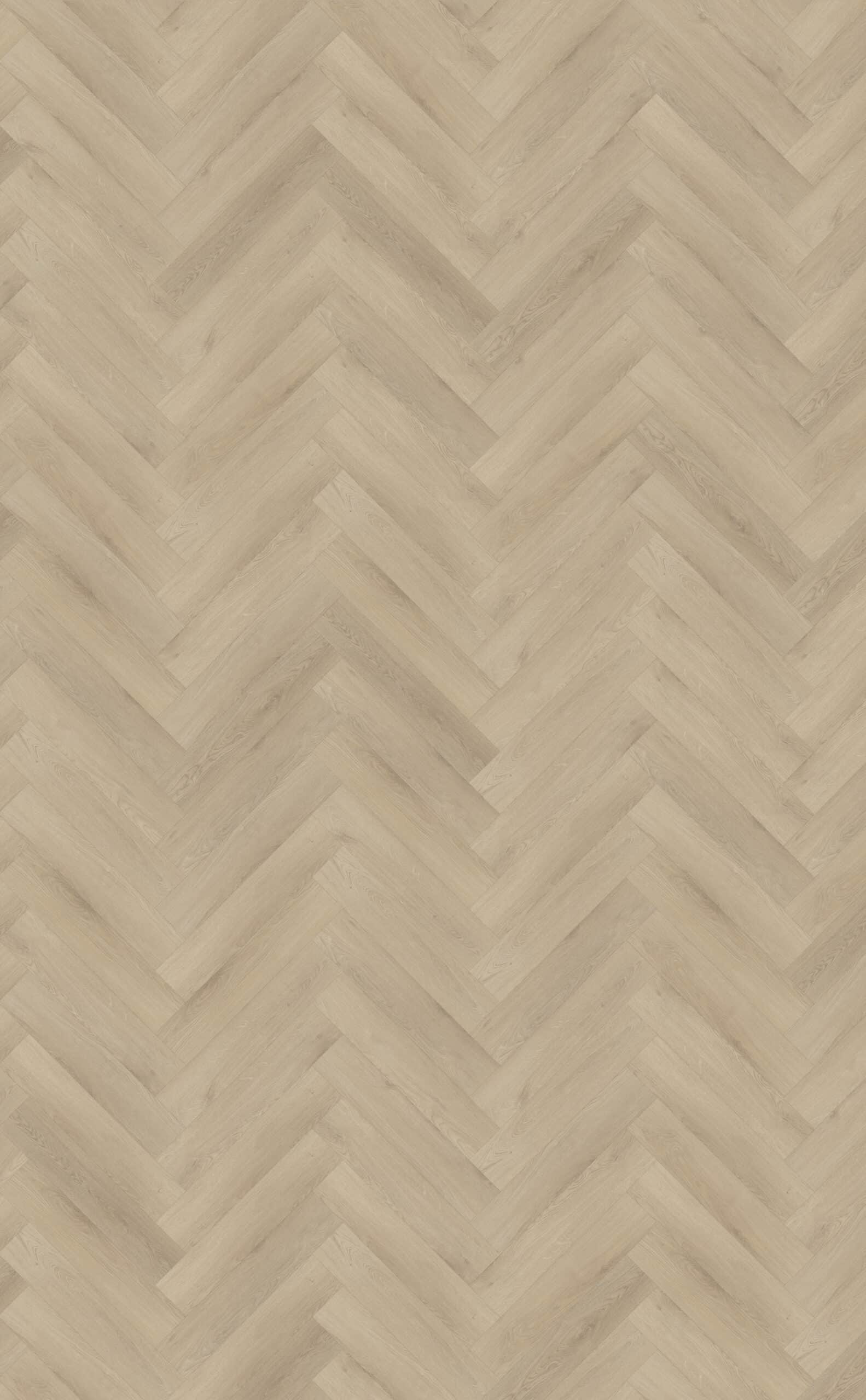 Belakos - Palazzo visgraat XL 73