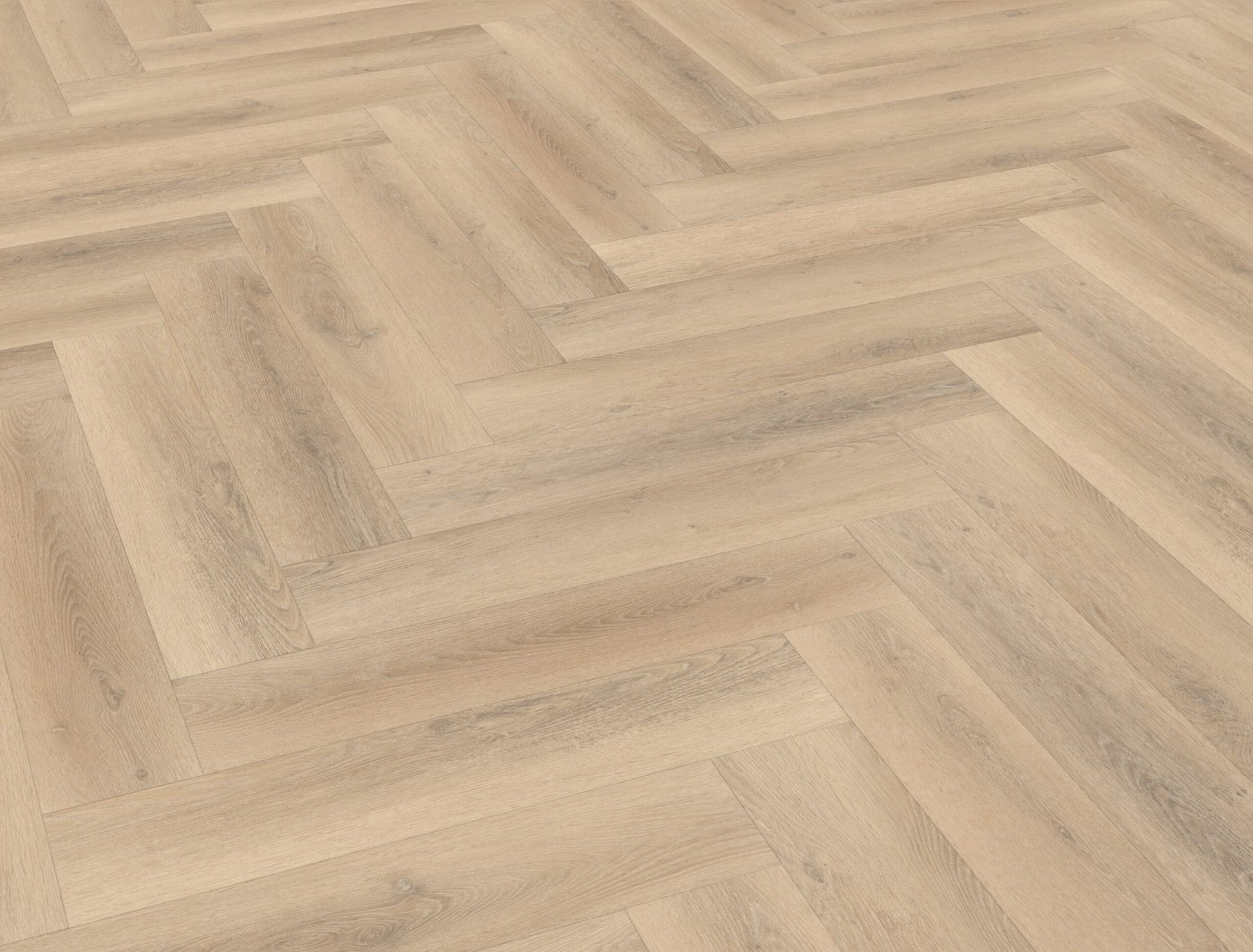 Belakos - Palazzo visgraat XL 75