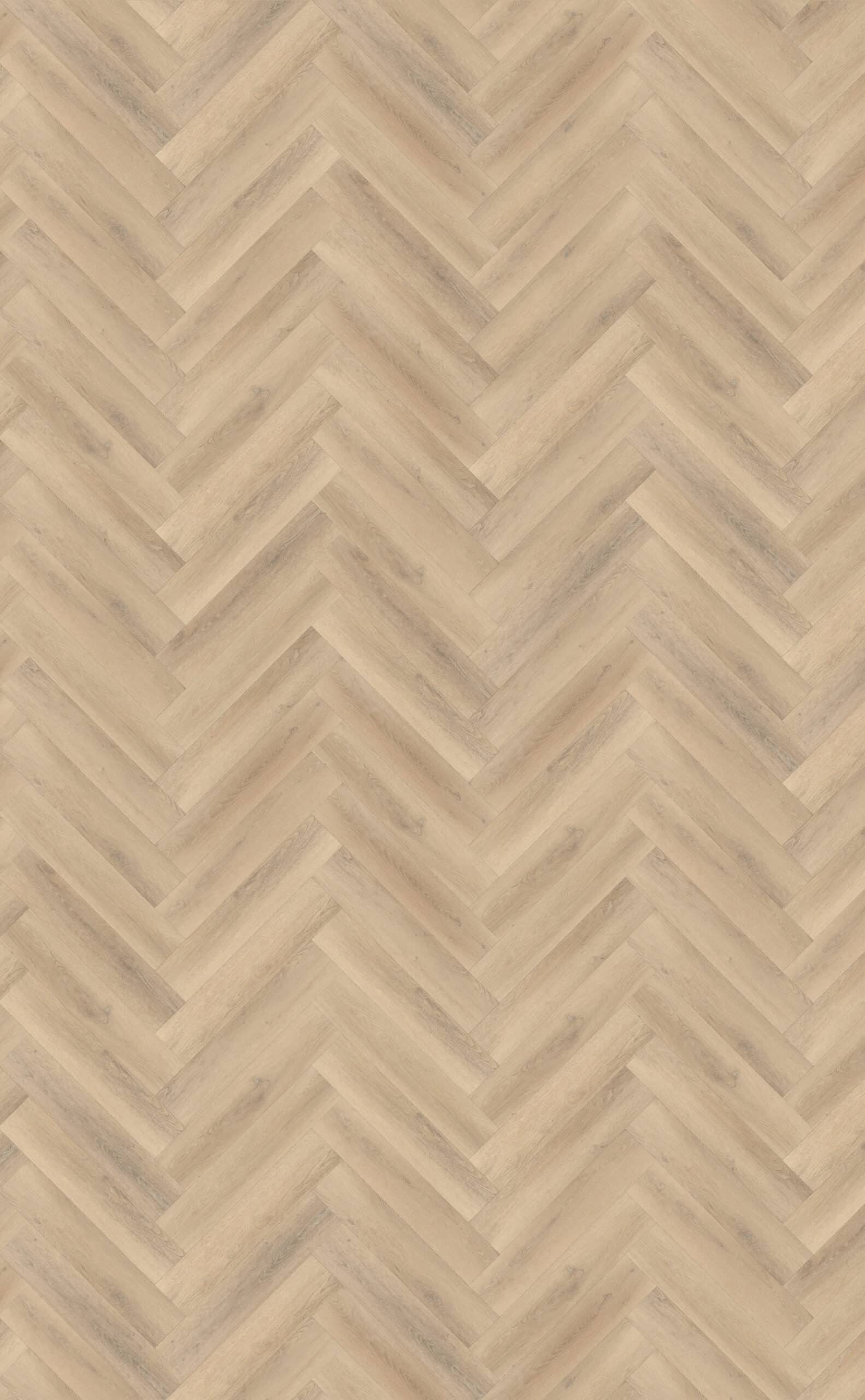 Belakos - Palazzo visgraat XL 75