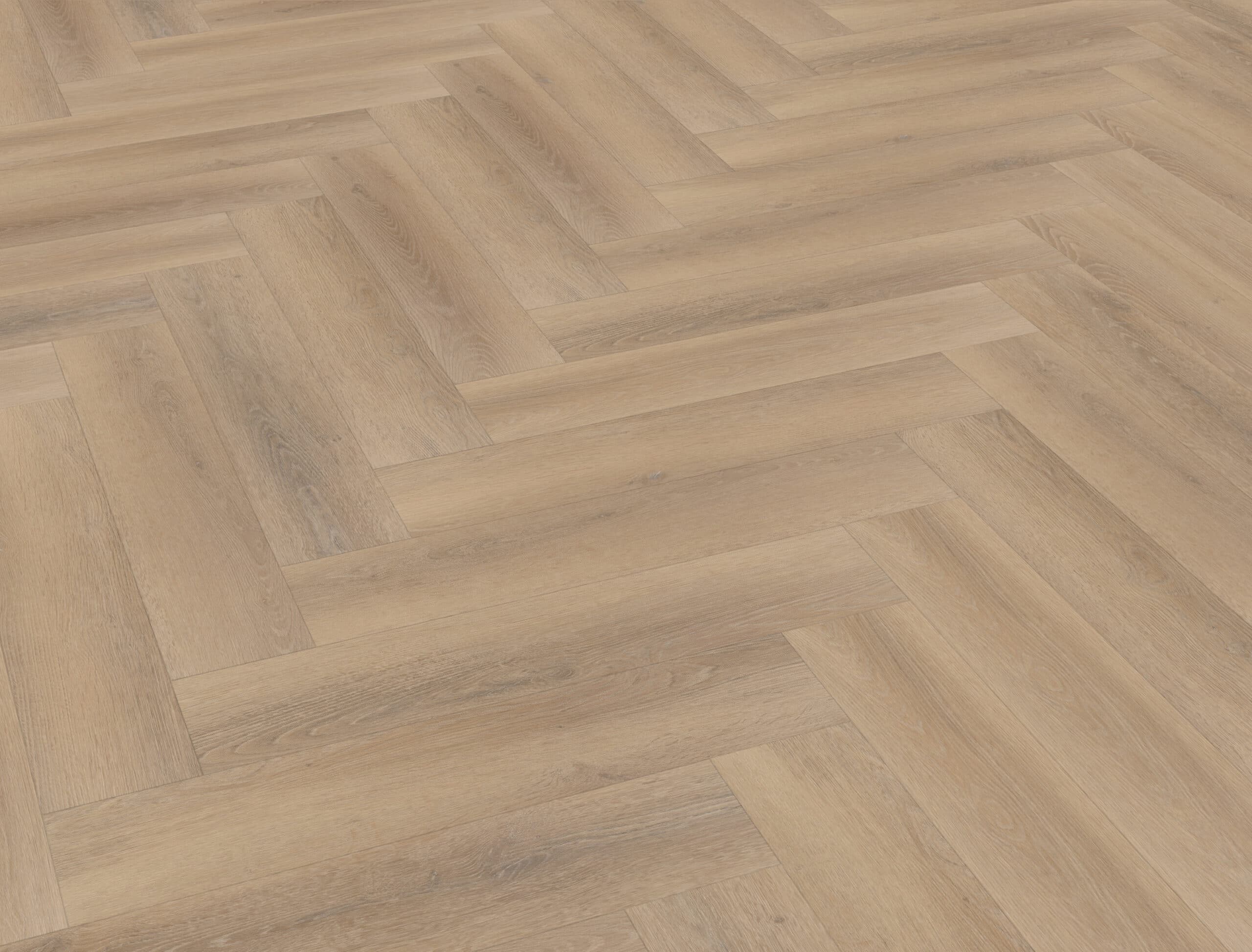 Belakos - Palazzo visgraat XL 76