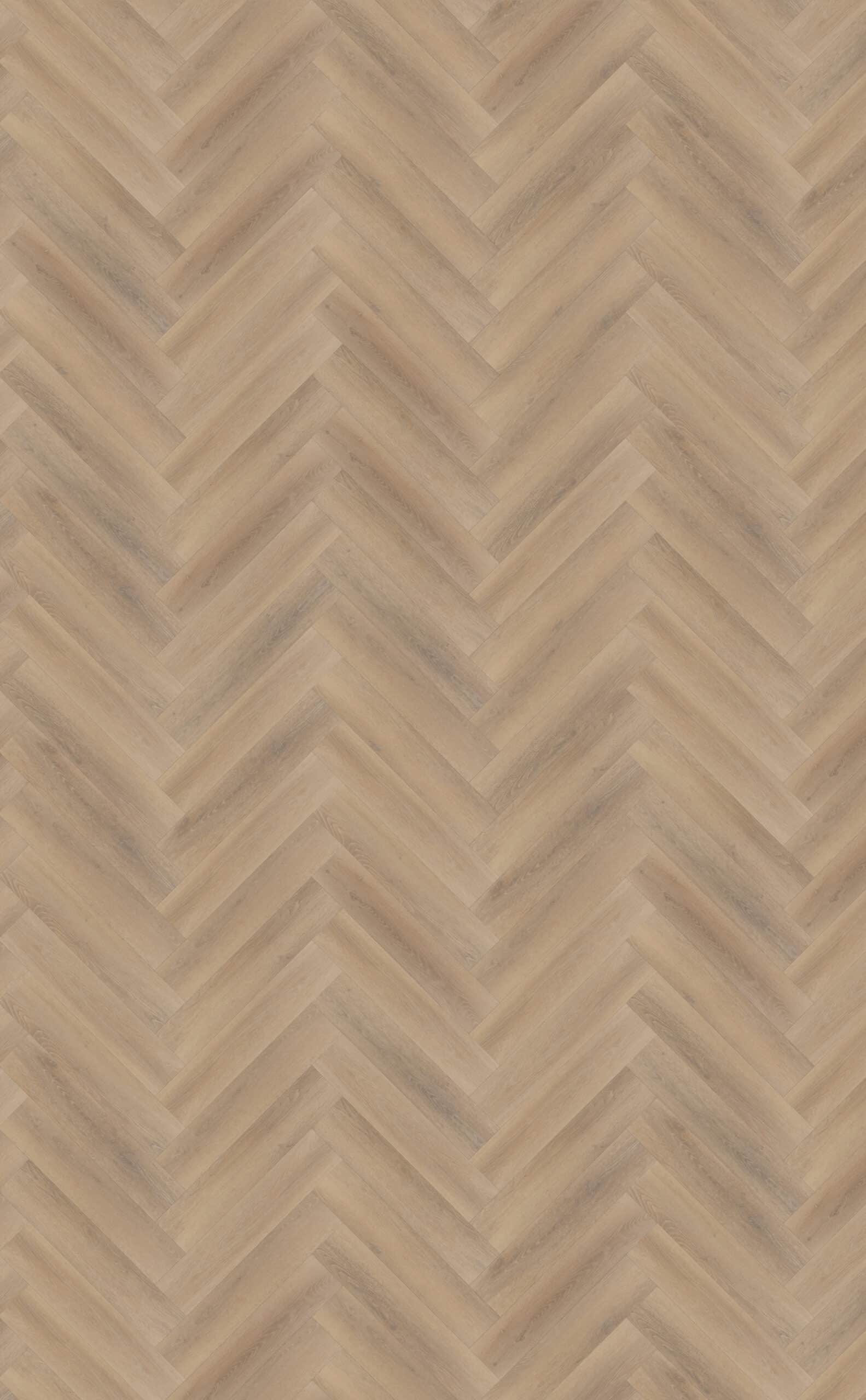 Belakos - Palazzo visgraat XL 76