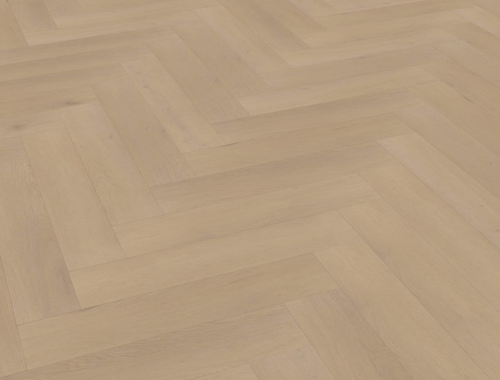 Belakos - Palazzo visgraat XL 77