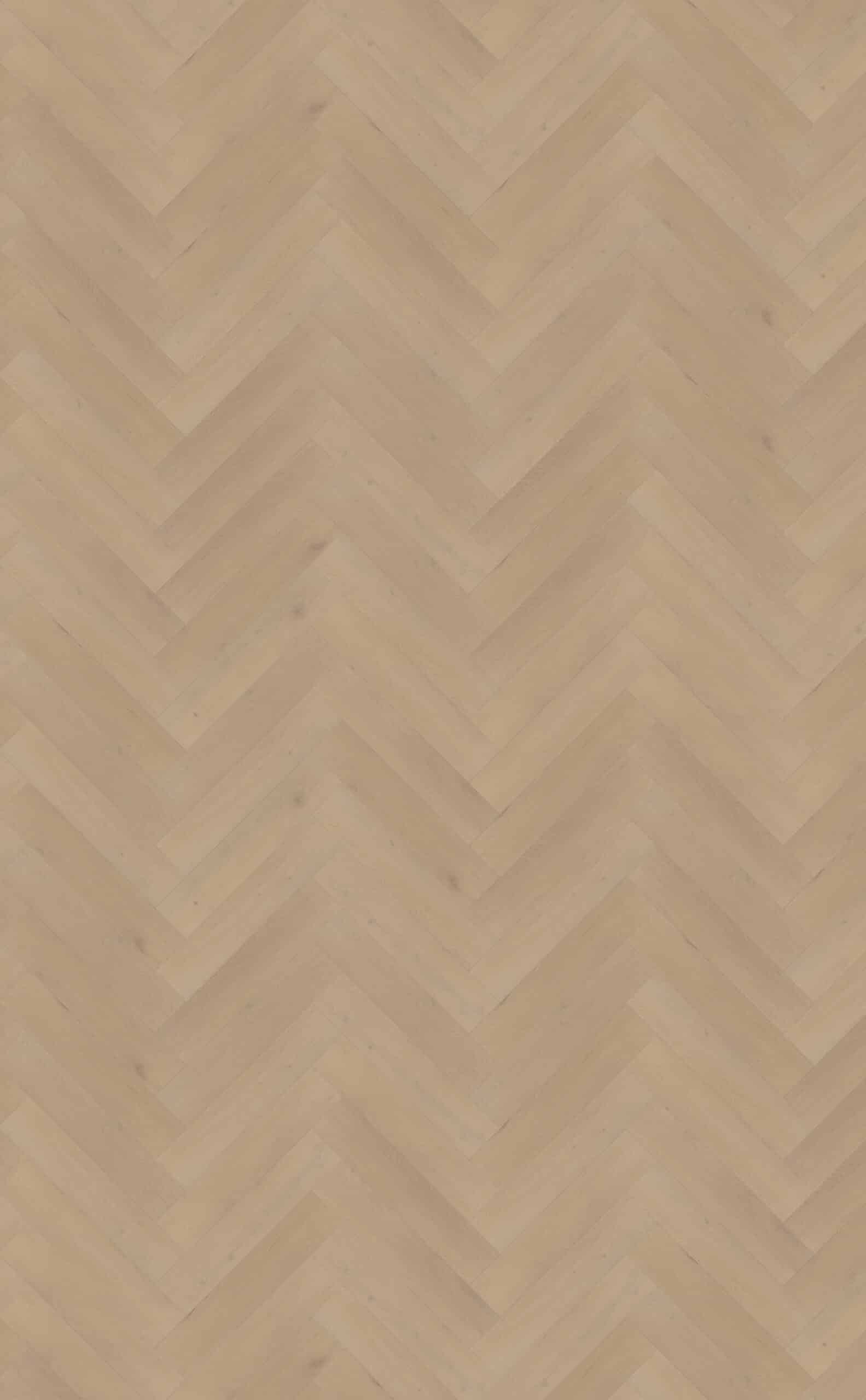 Belakos - Palazzo visgraat XL 77