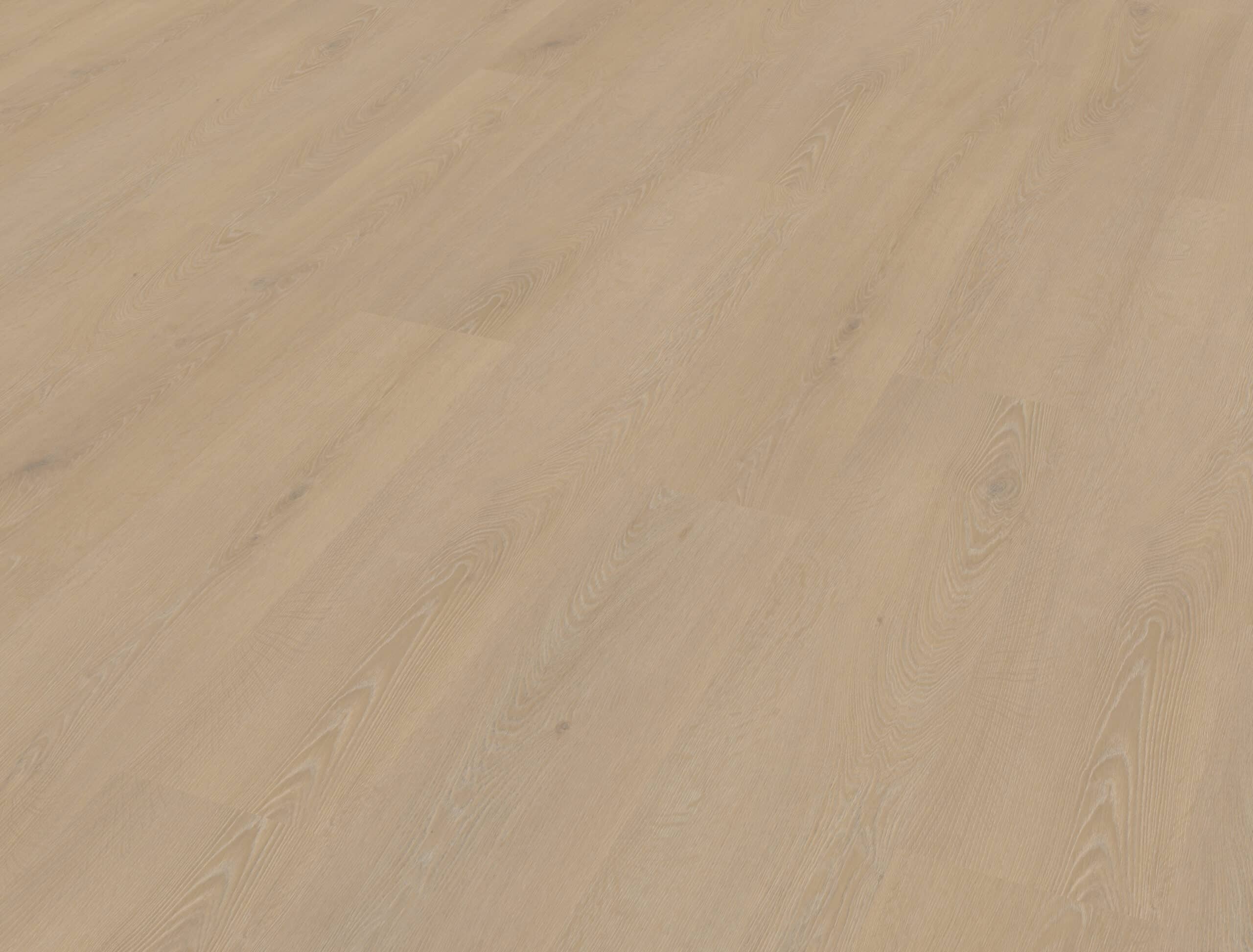 Belakos - Cervo 200 Rigid Click