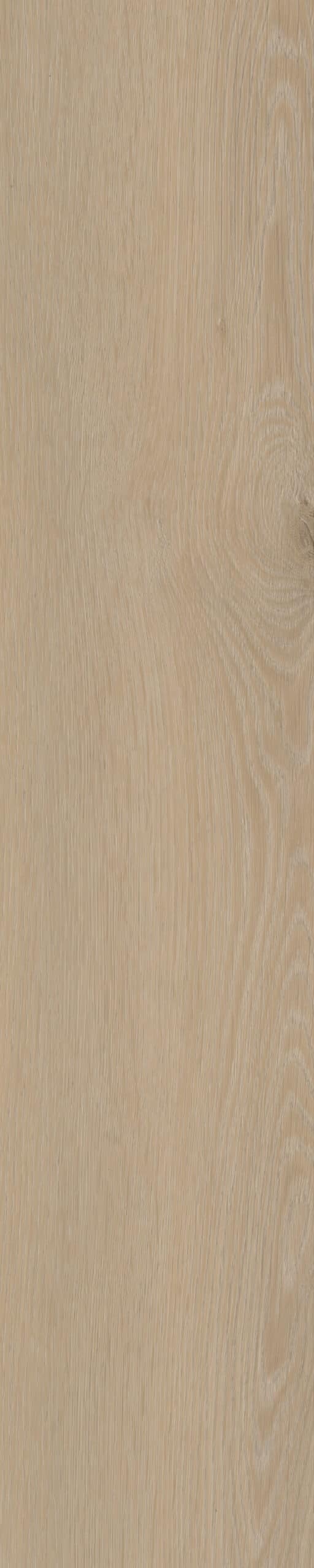 Belakos - Cervo Visgraat 20 Rigid Click