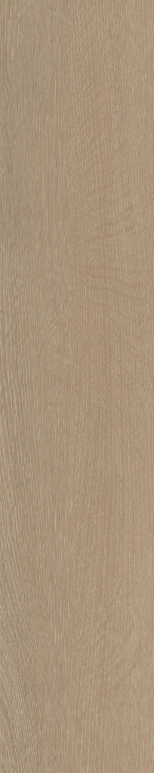 Belakos - Cervo Visgraat 21 Rigid Click