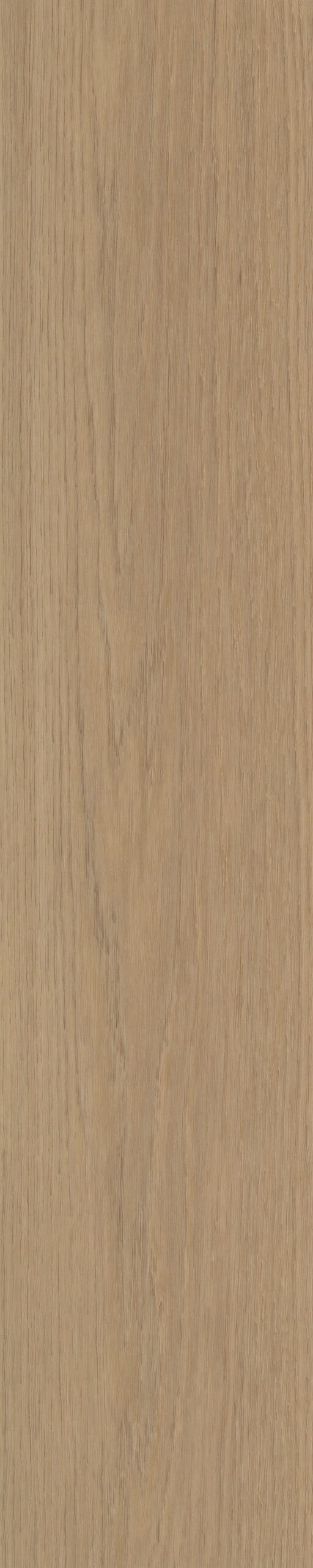 Belakos - Futuro Visgraat 50 Rigid Click