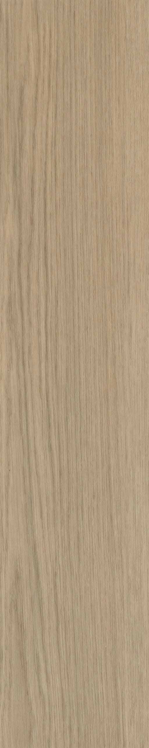 Belakos - Futuro Visgraat 53 Rigid Click