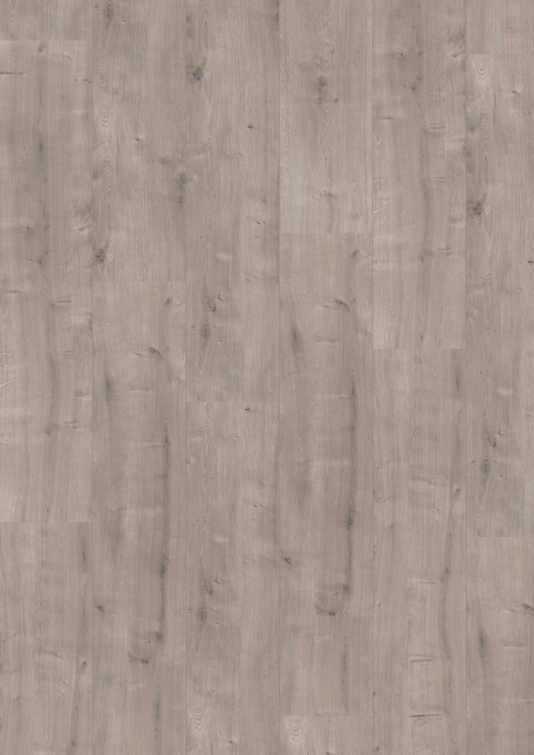 Hoomline - Royal XL V2 Valluga 017