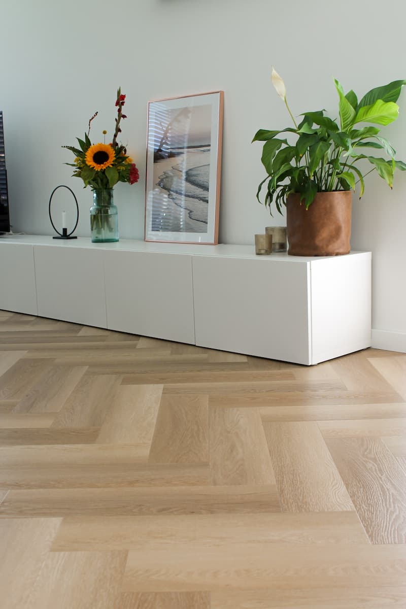 Hoomline - Ambassador Dryback Visgraat Ontario 120