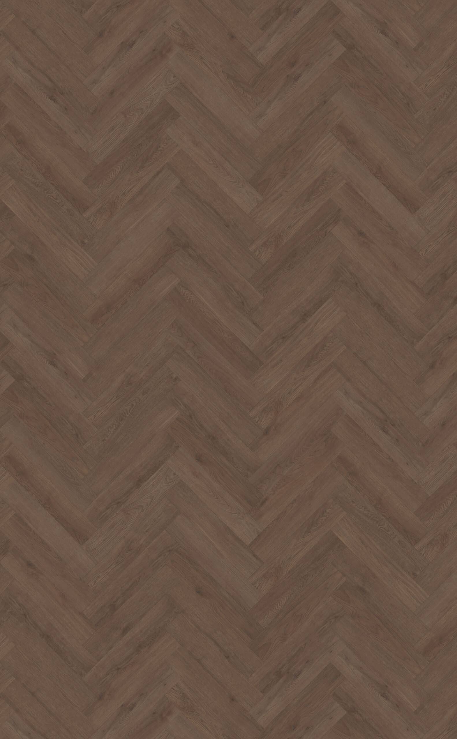 Belakos - Monastro visgraat XL 90