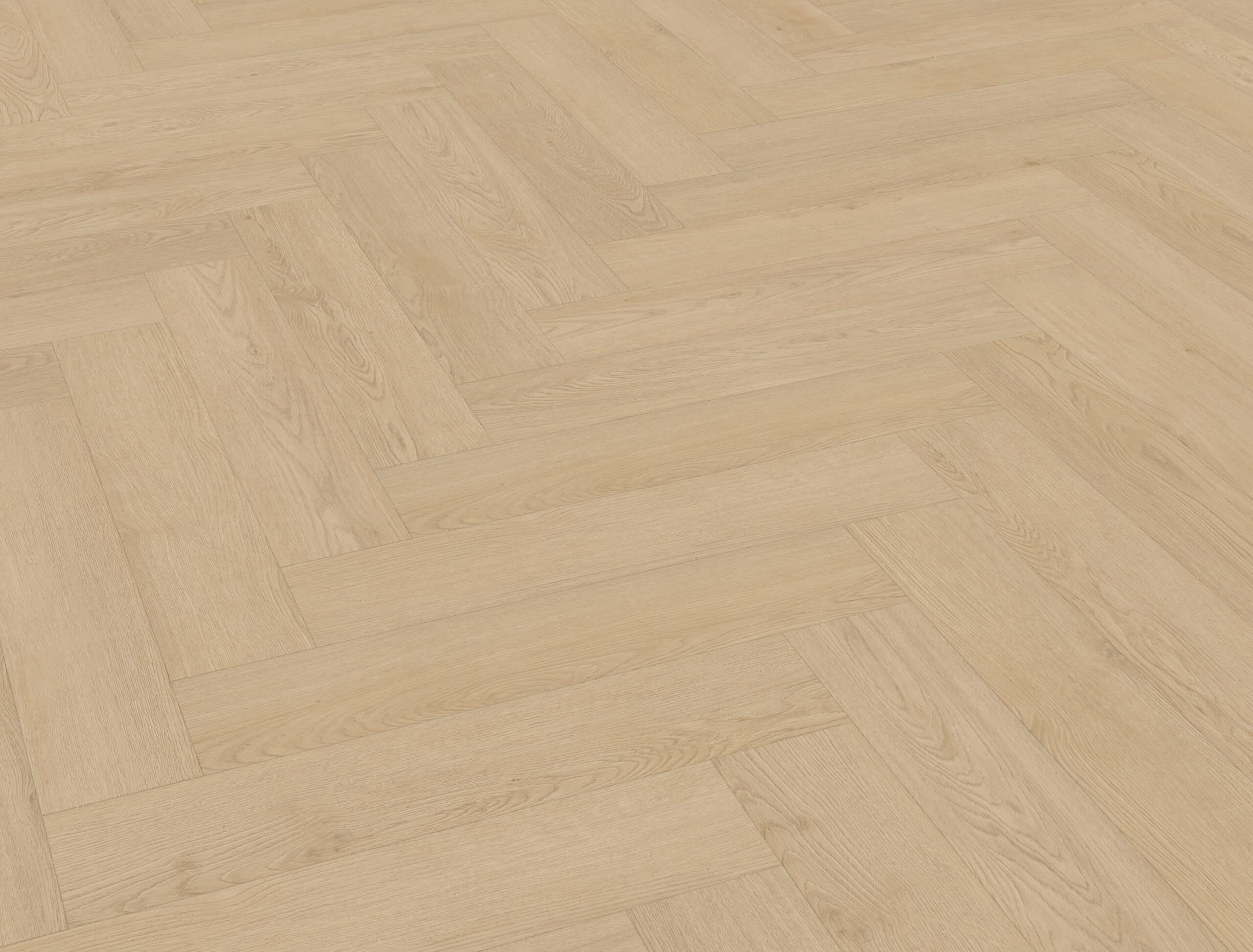 Belakos - Monastro visgraat XL 92