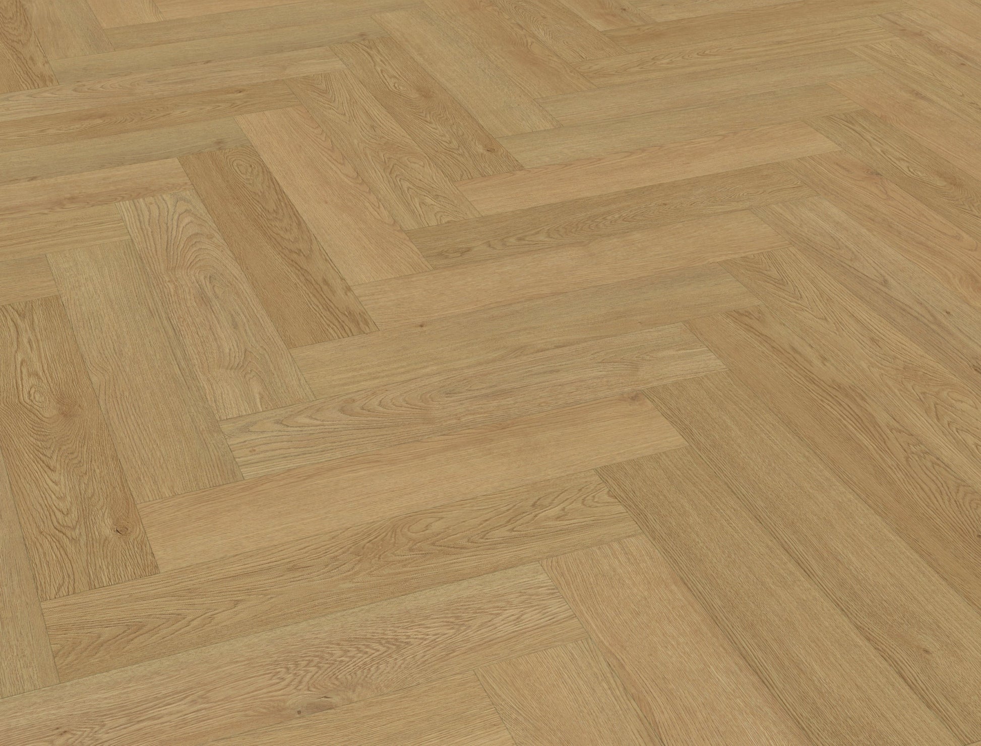 Belakos - Monastro visgraat XL 93 | Rigid Click