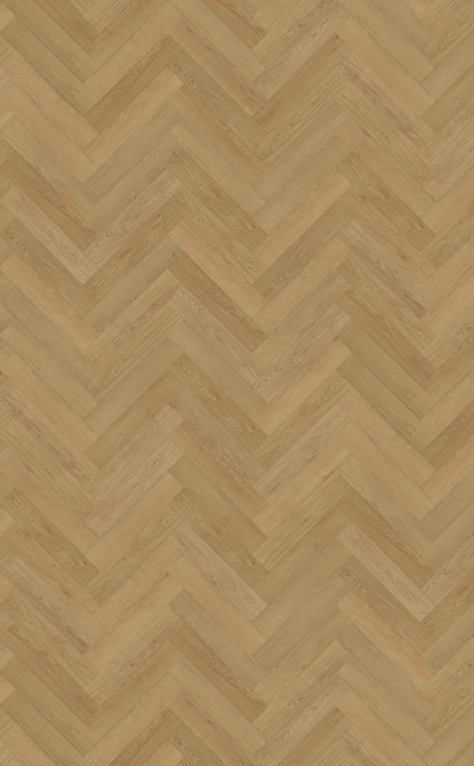 Belakos - Monastro visgraat XL 93 | Rigid Click