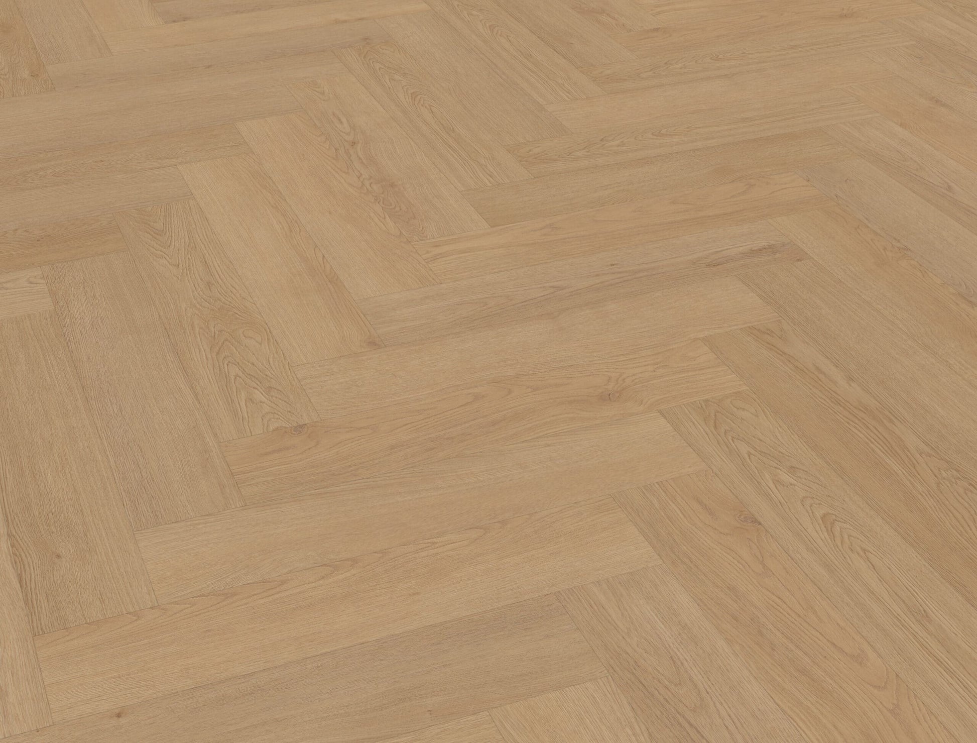 Belakos - Monastro visgraat XL 93