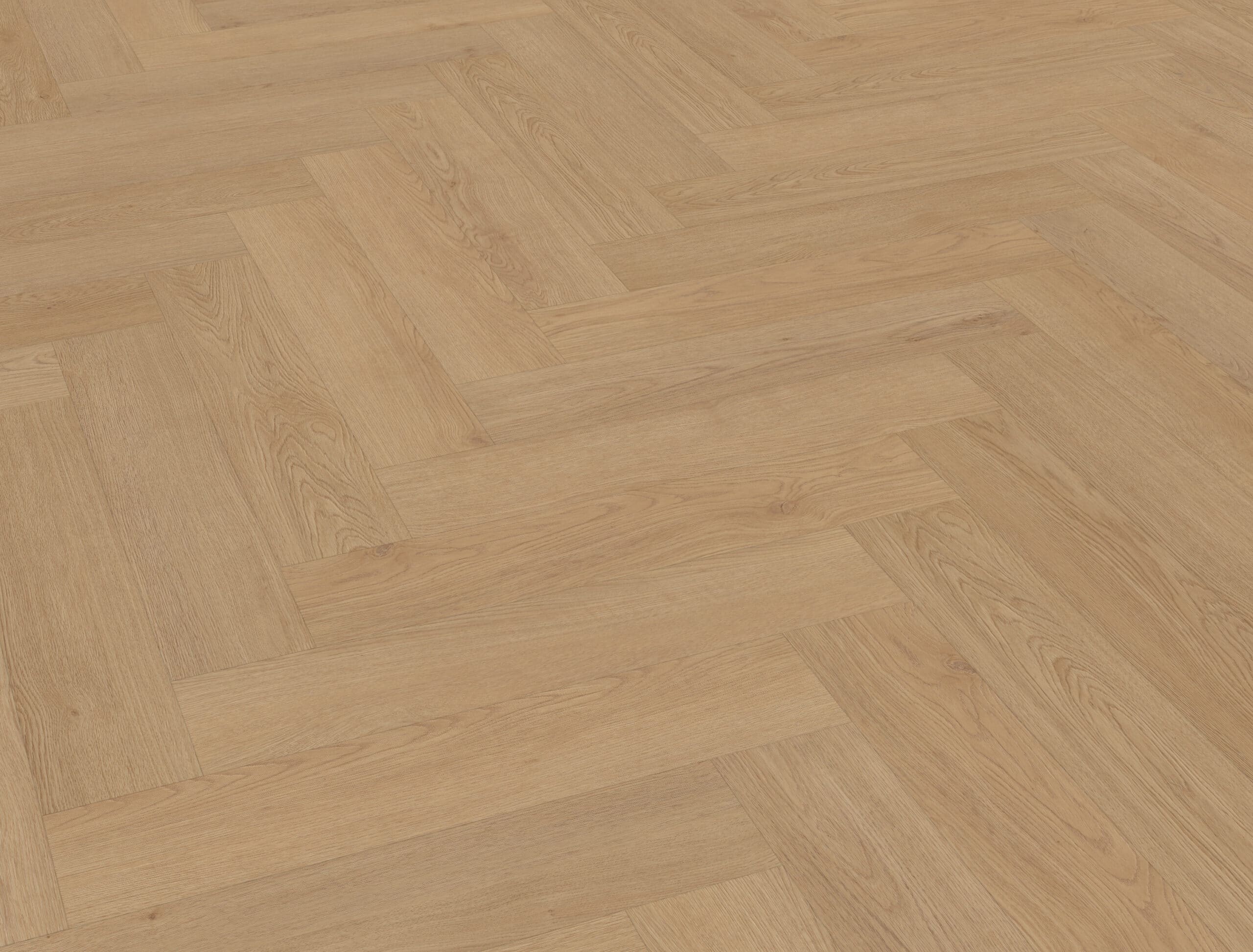 Belakos - Monastro visgraat XL 93