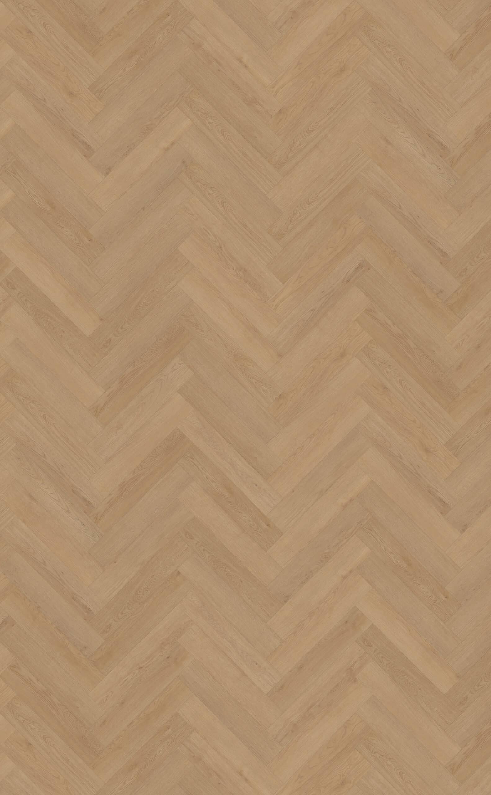 Belakos - Monastro visgraat XL 93