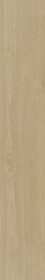 Belakos - Portico 550