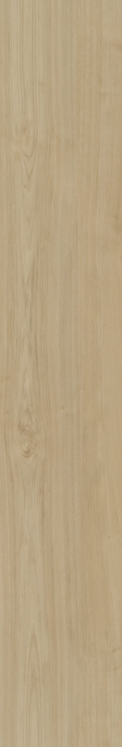 Belakos - Portico 550