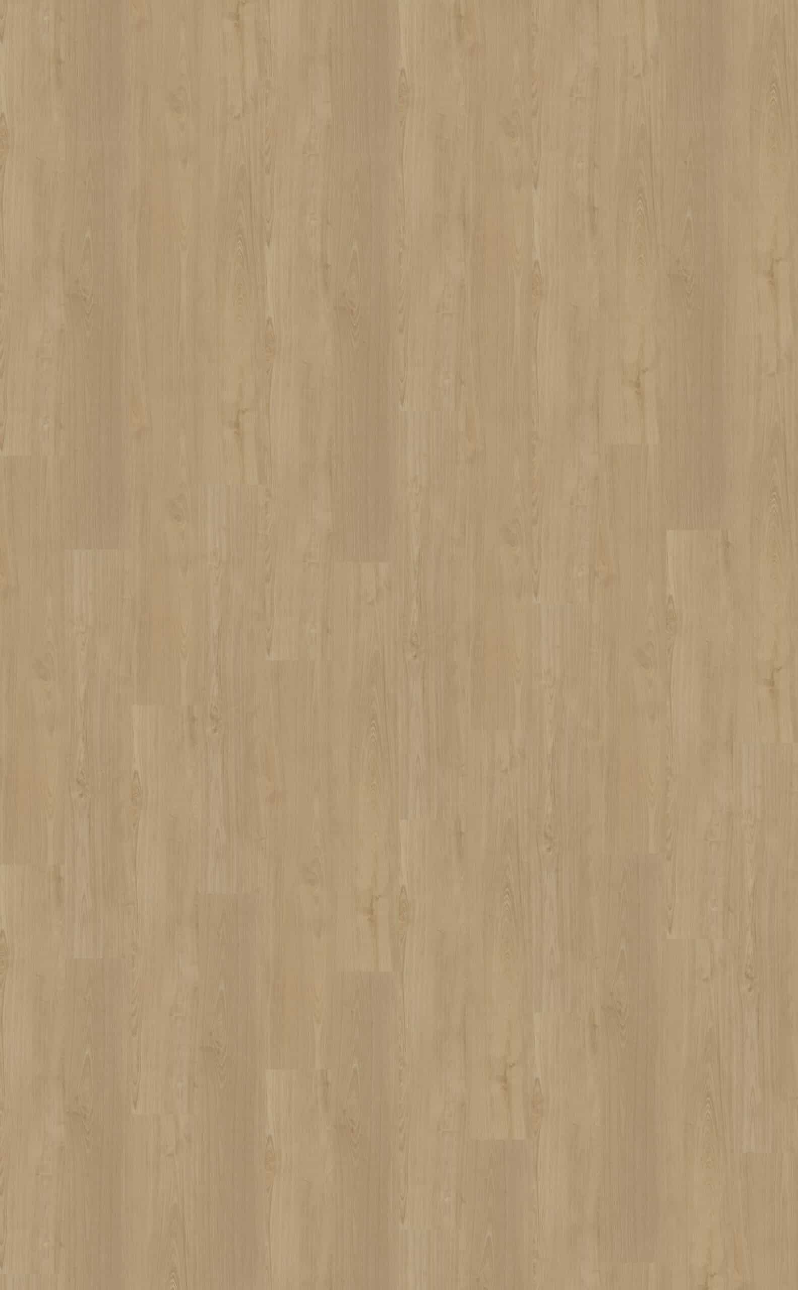 Belakos - Portico 560