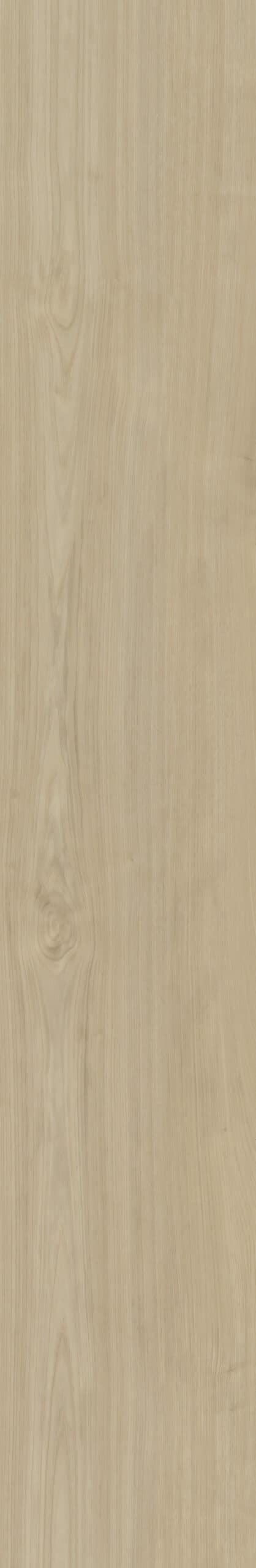 Belakos - Portico 570