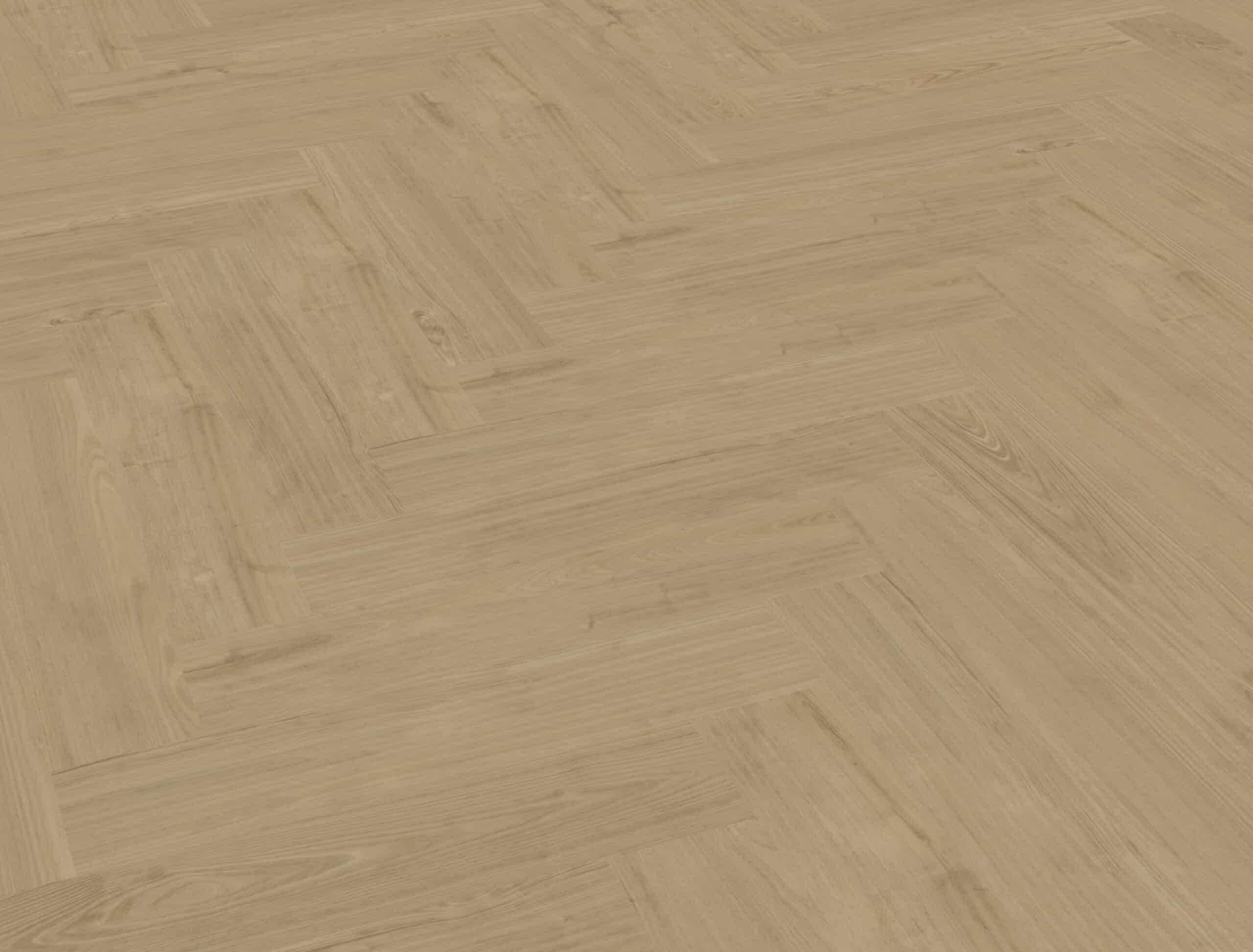 Belakos - Portico Visgraat XL 54