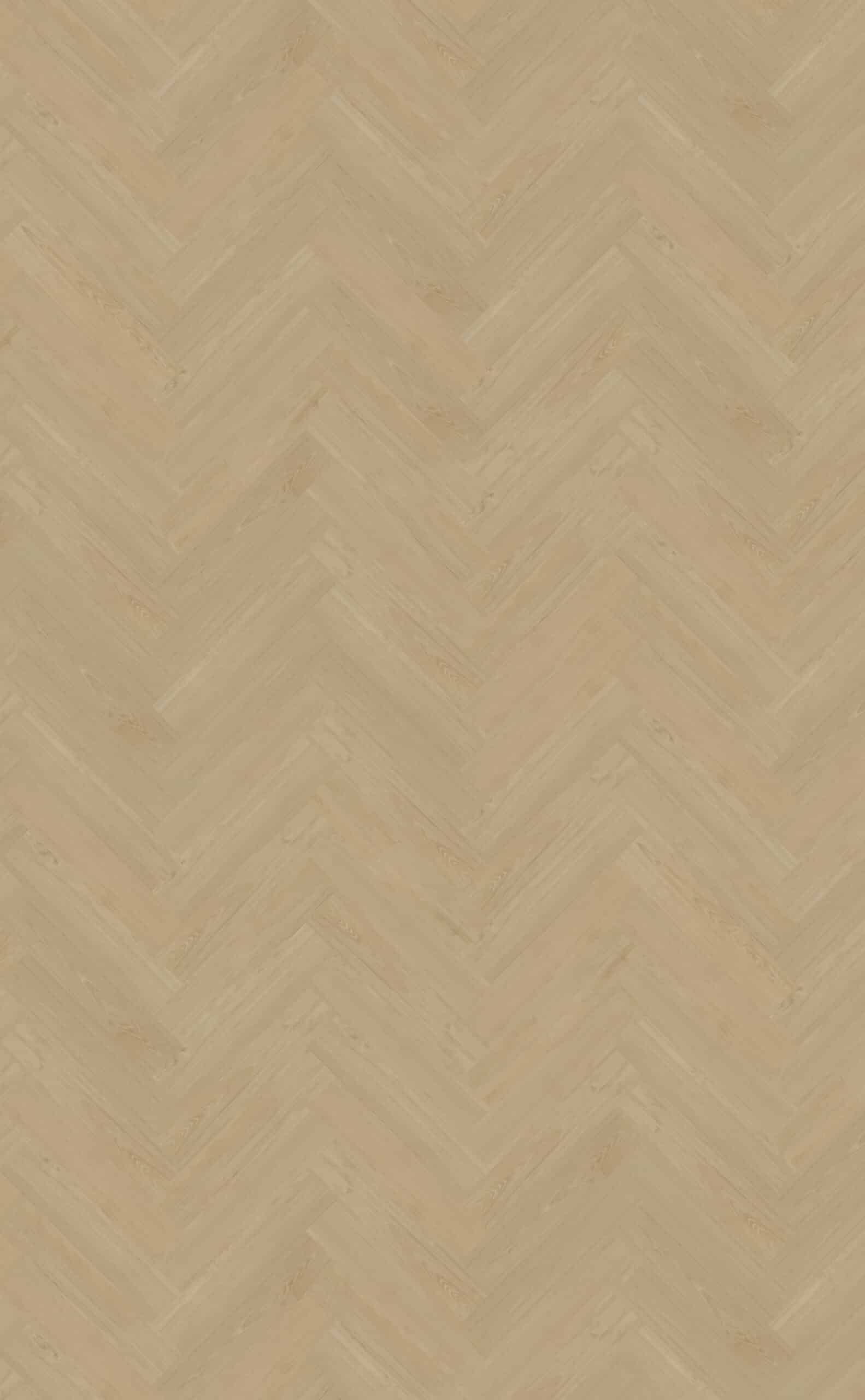 Belakos - Portico Visgraat XL 55