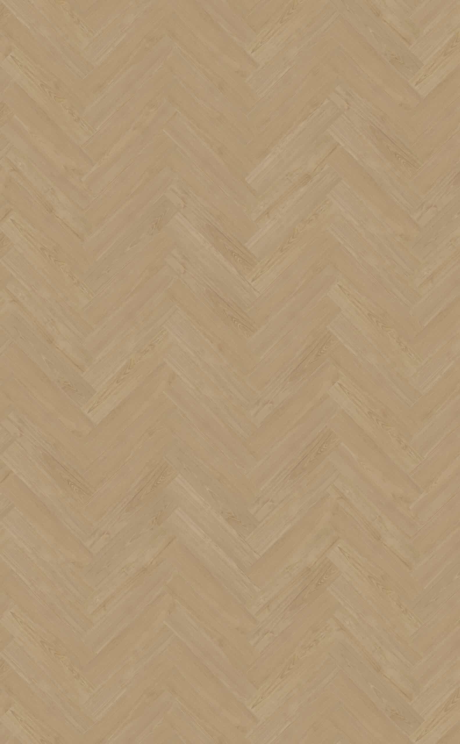 Belakos - Portico Visgraat XL 56