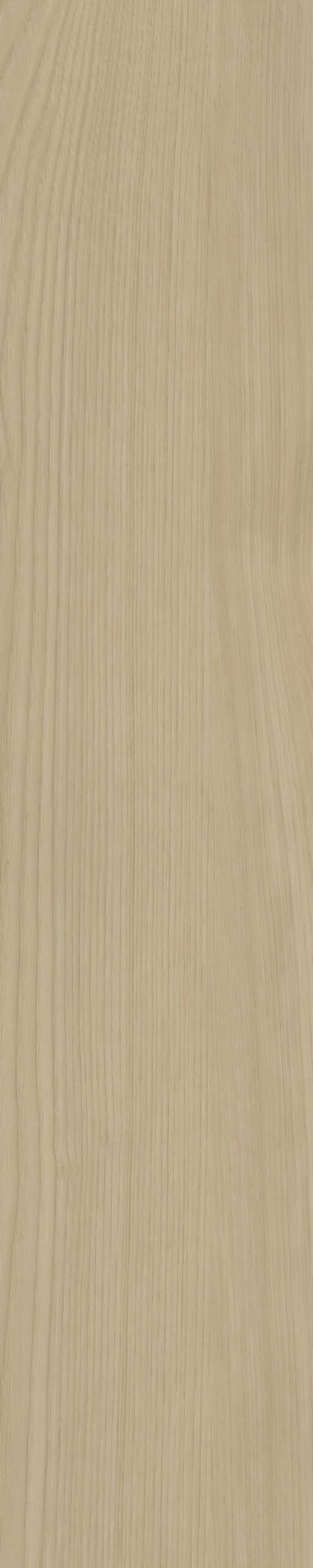 Belakos - Portico Visgraat XL 57