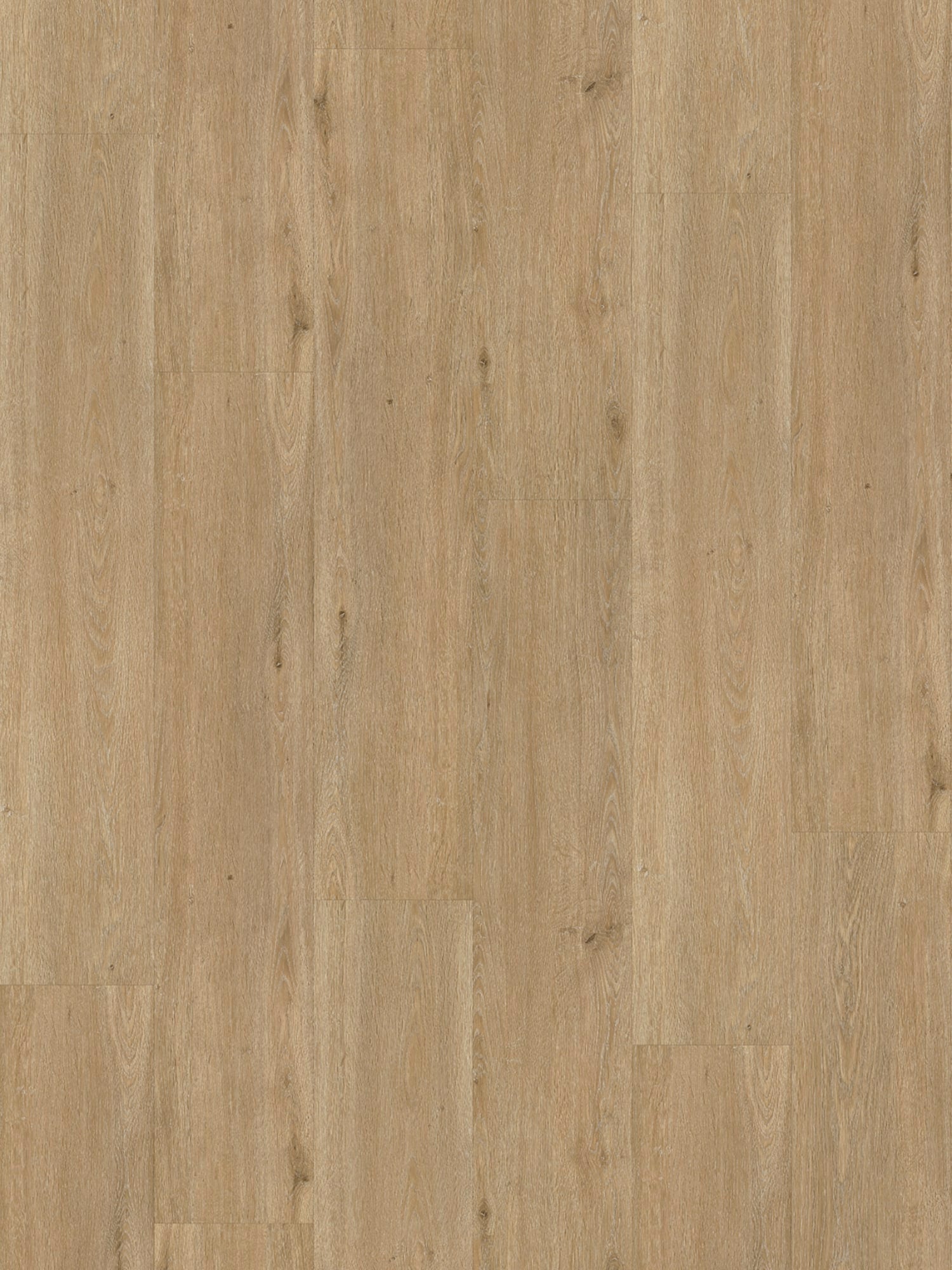 Belakos - Rustico 50