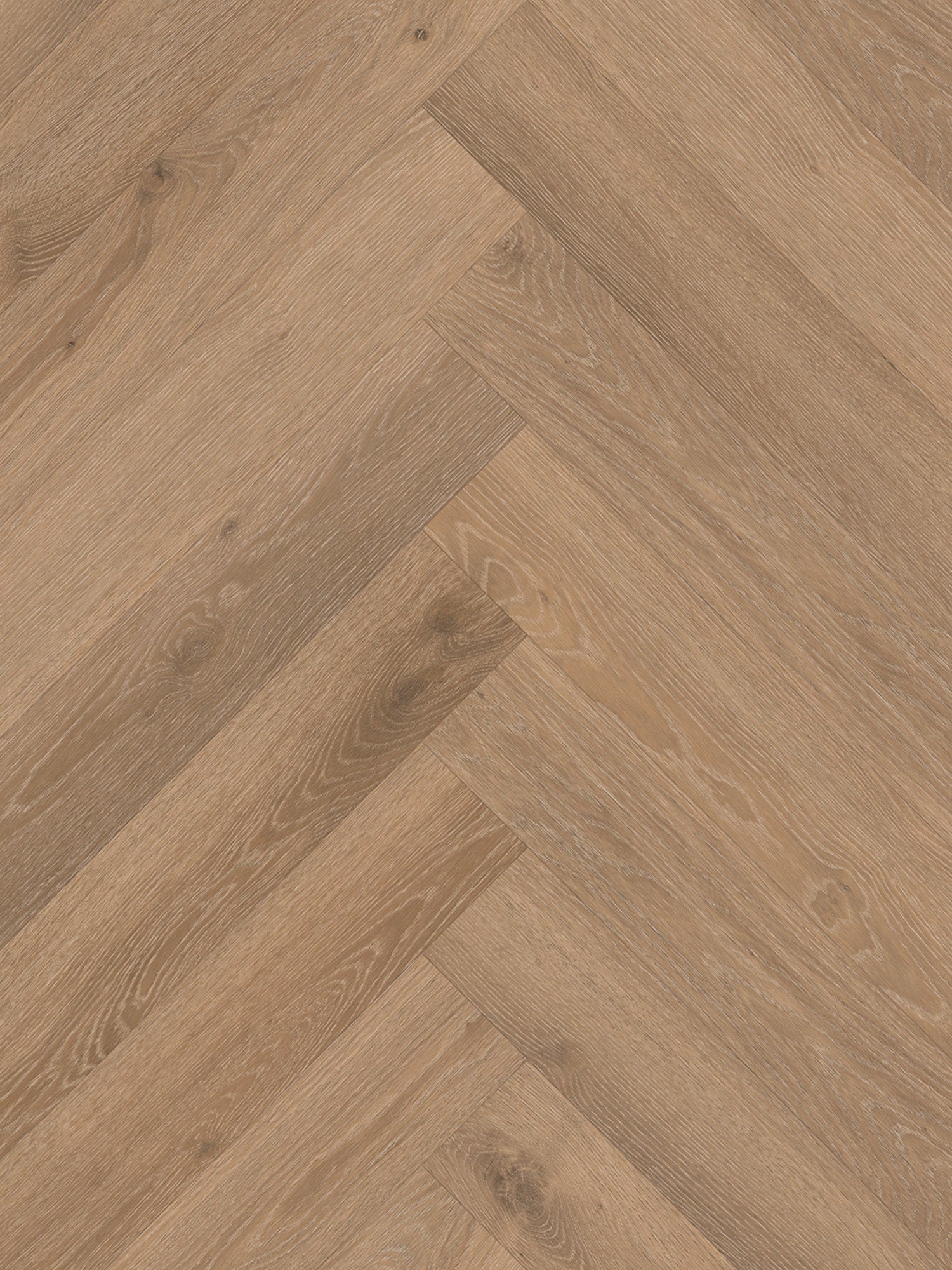 Belakos - Rustico visgraat 30