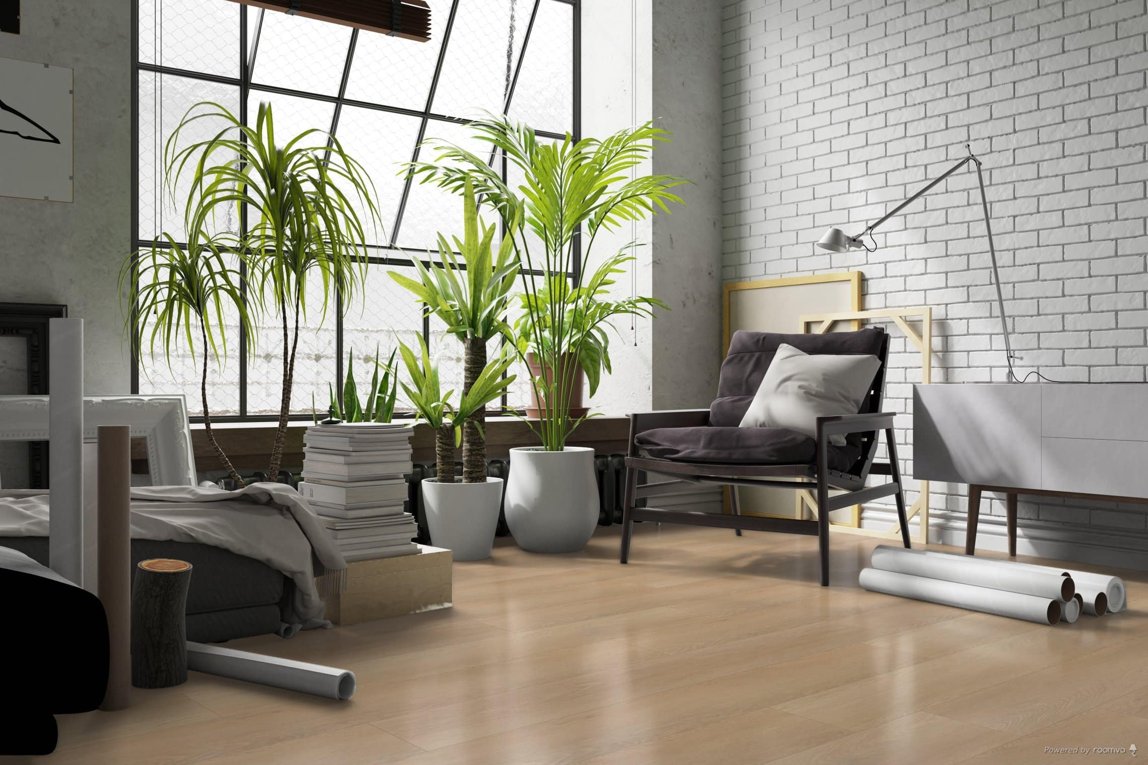 Hoomline - Ambassador Dryback Maine 5