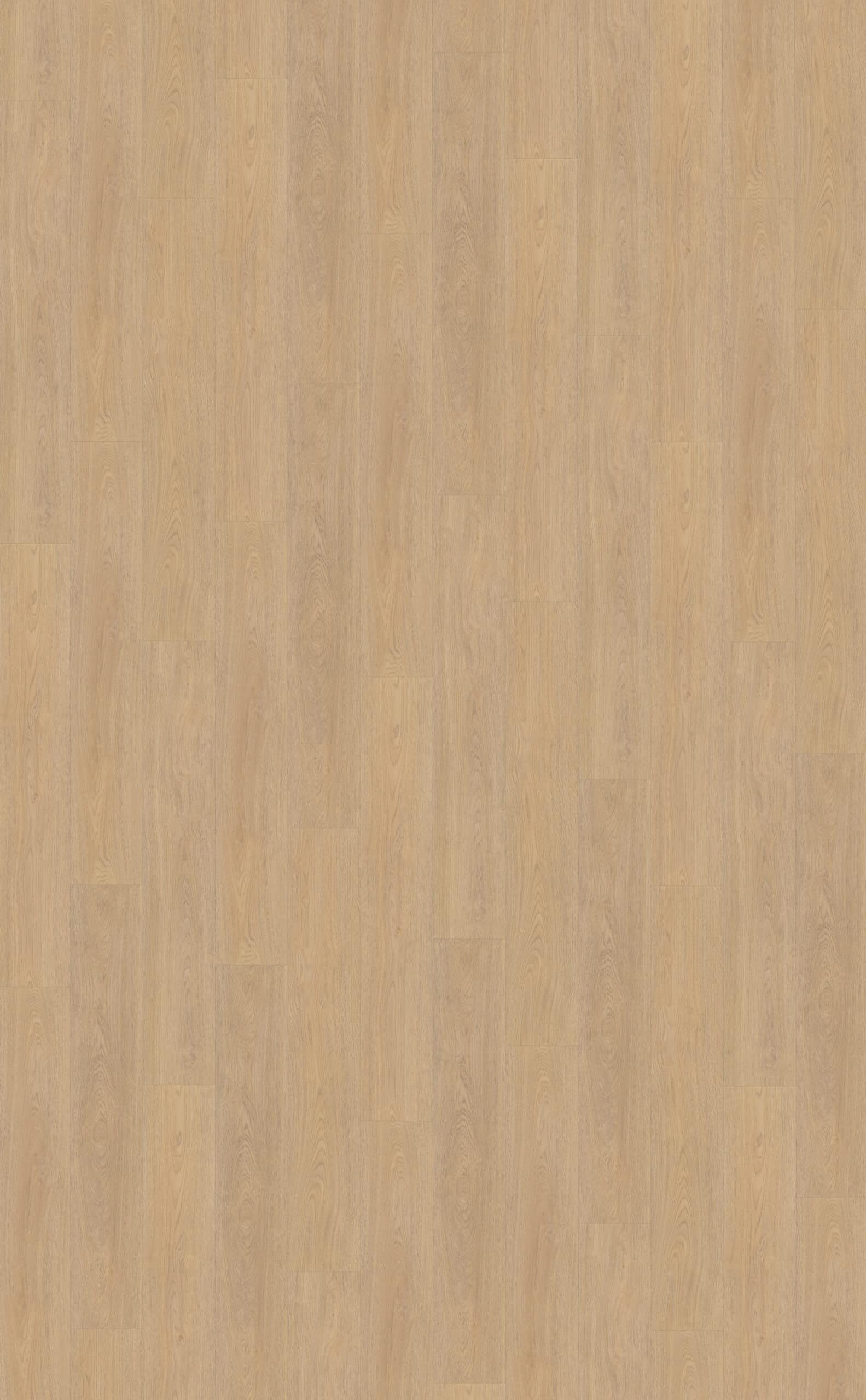 Belakos - Terreno 610