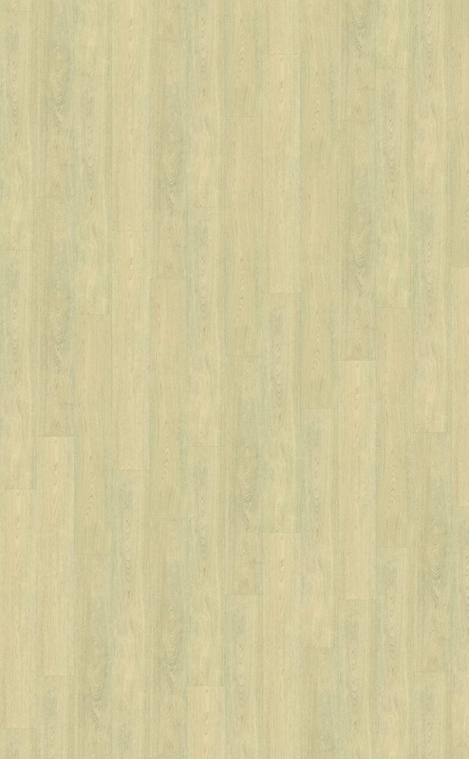 Belakos - Terreno 620 | Rigid Click