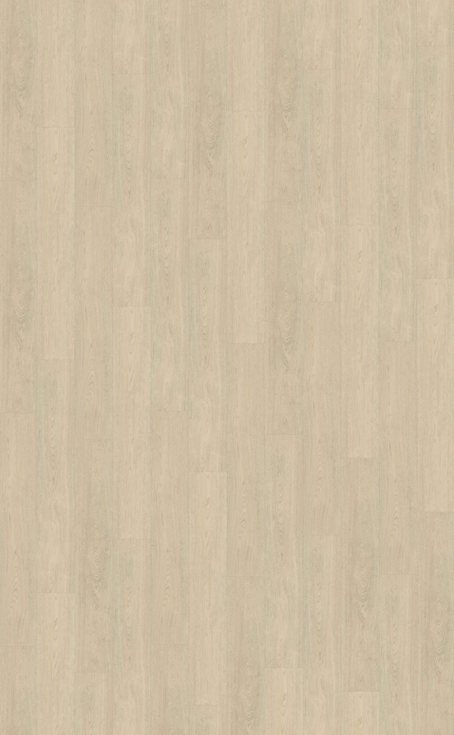 Belakos - Terreno 620