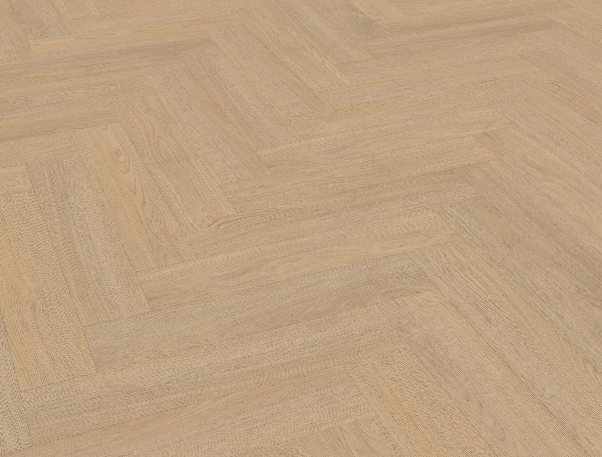 Belakos - Terreno visgraat XL 61