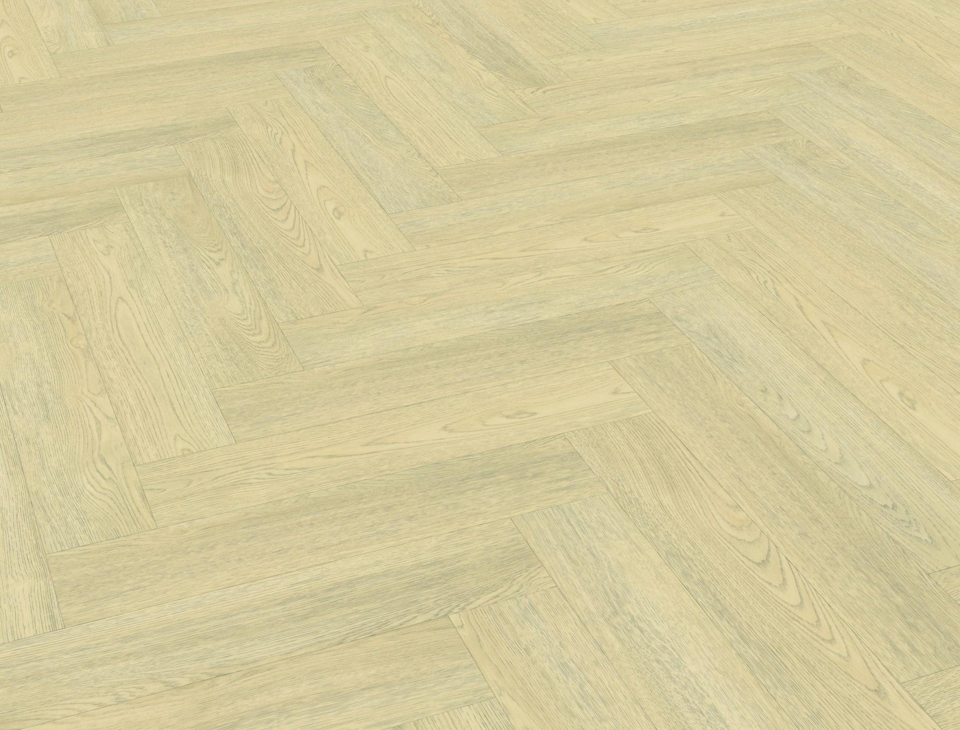 Belakos - Terreno visgraat XL 62 | Rigid Click