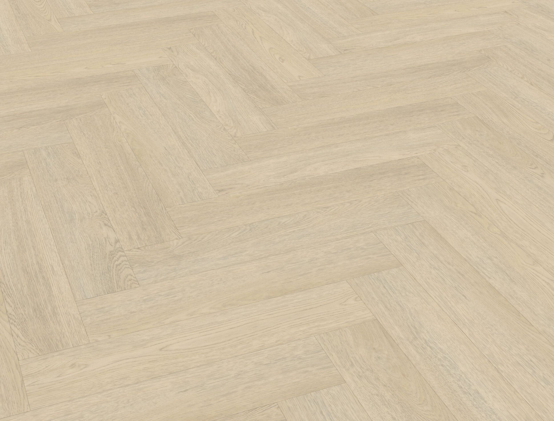 Belakos - Terreno visgraat XL 62