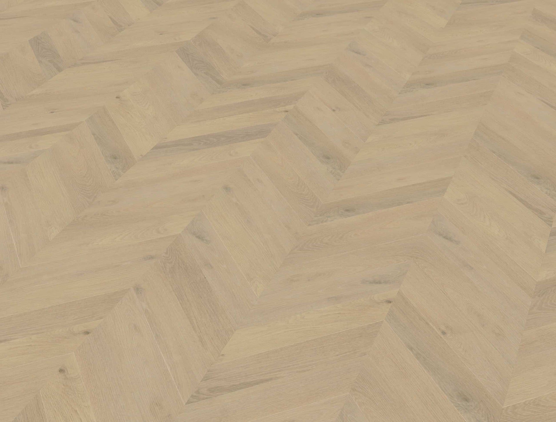 Belakos - Palazzo Hongaarse punt 74