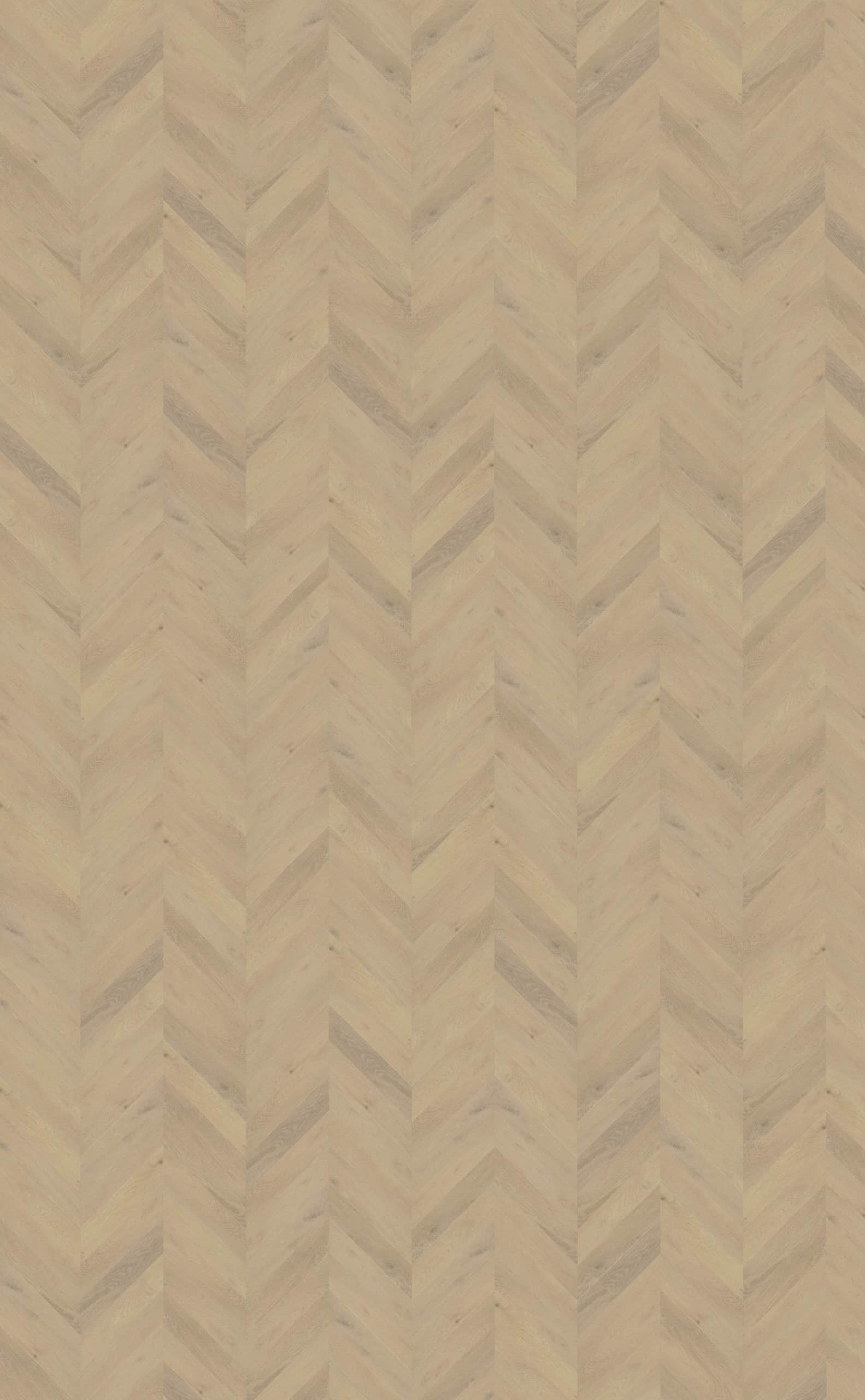 Belakos - Palazzo Hongaarse punt 74