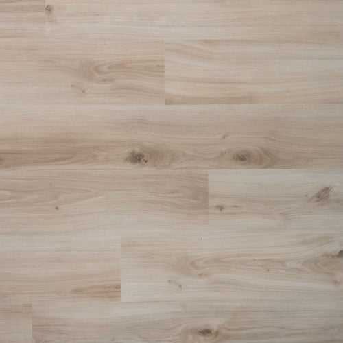 Douwes Dekker - Spontaan Plank Gember