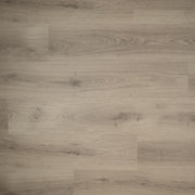Douwes Dekker - Spontaan Plank Tijm