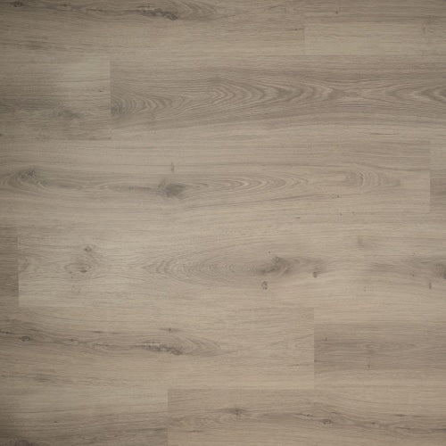 Douwes Dekker - Spontaan Plank Tijm