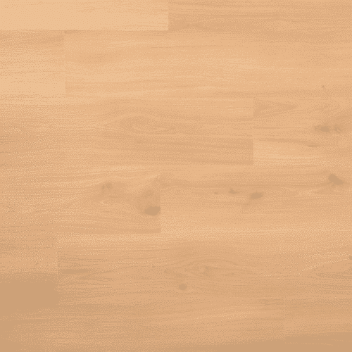 Douwes Dekker - Spontaan Plank Dragon